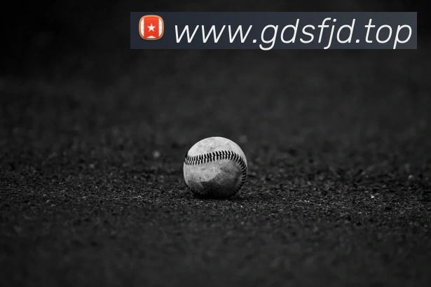 gp娱乐电子游戏网站发展历程